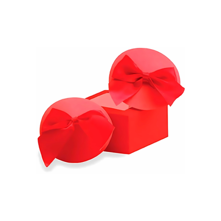 KIT DE ACESSÓRIOS PARA NOIVA HAPPILY EVER AFTER - Image 5