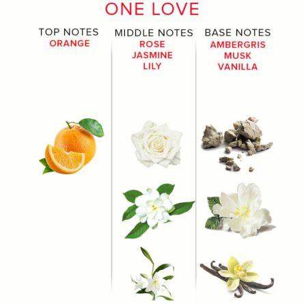 PERFUME COM FEROMONAS ONE LOVE | 50 ML - Image 4