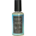 SPRAY DE FEROMONAS